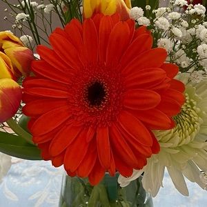 Meet your Posher, Cathleen